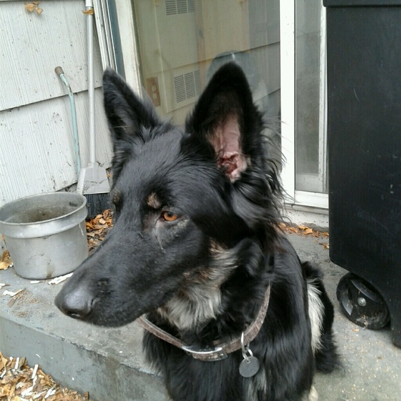 Meet your Posher, Mary - Picture 1 of 1